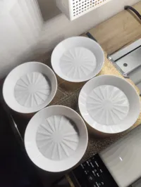 PETG 4x