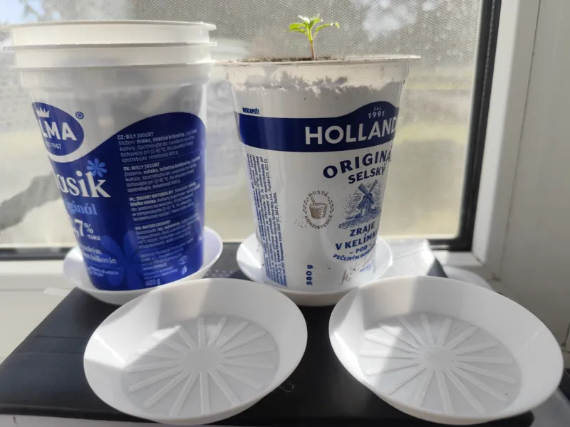 Yogurt Pot Saucer