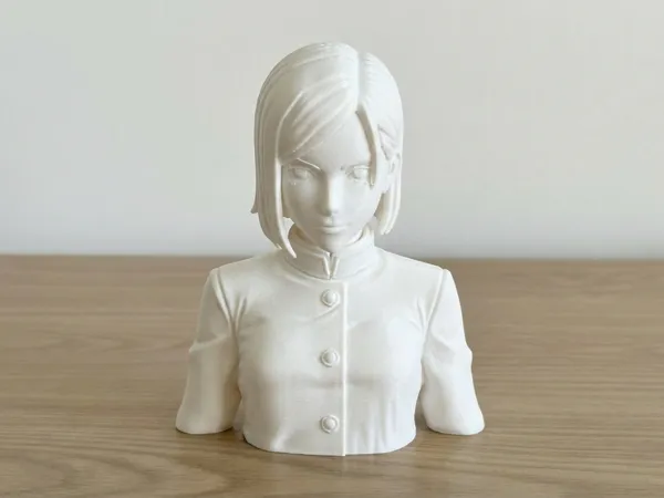 https://makerworld.bblmw.com/makerworld/model/US82fc8b8577195a/design/79112e5689cdd804.jpeg