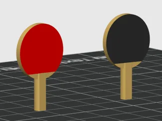 Table tennis Paddles - Dummy 13