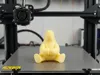 0.2mm layer, 2 walls, 5% infill