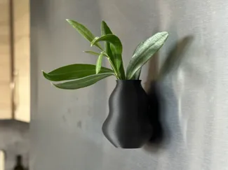 different shaped magnetic vase + ripped version 