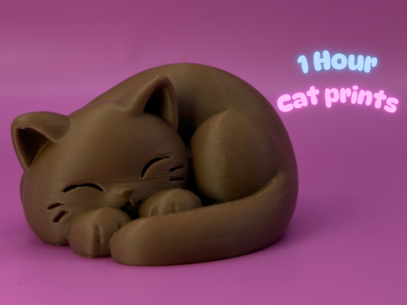 Cozy Curl Cat - 1 hour print 3D model