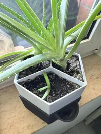 3-part planter insert, 2h10m