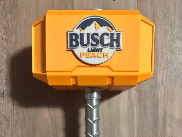 https://makerworld.bblmw.com/makerworld/model/US831d7aba6bfa33/design/2025-06-20_48b821199d704.jpg