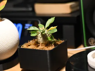 Cube planter Japan