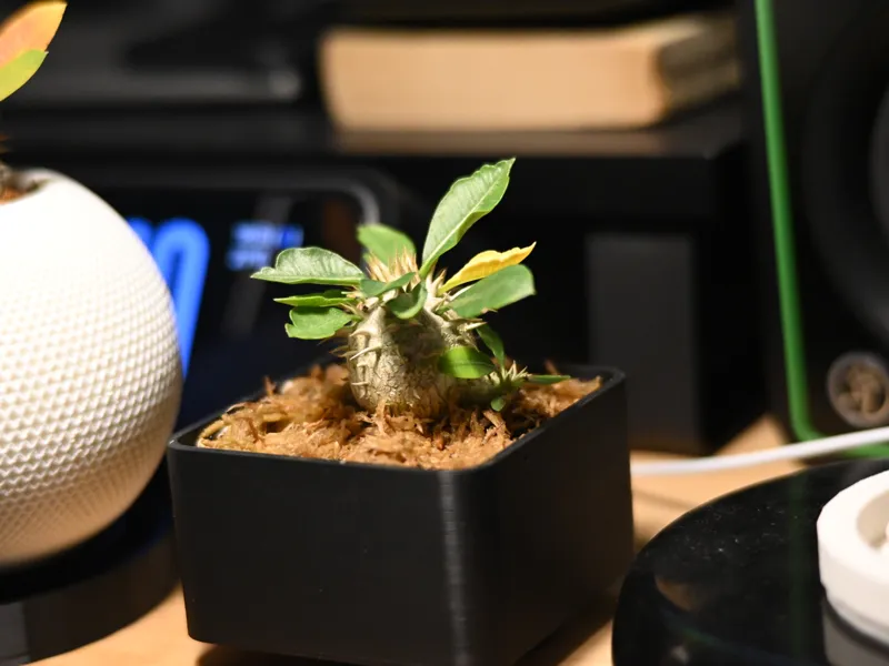 Cube planter Japan