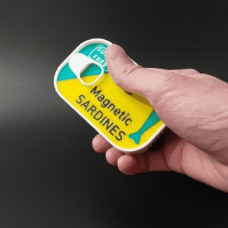 A can of magnetic sardines