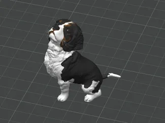 Cavalier King Charles Spaniel - Sitting Pose