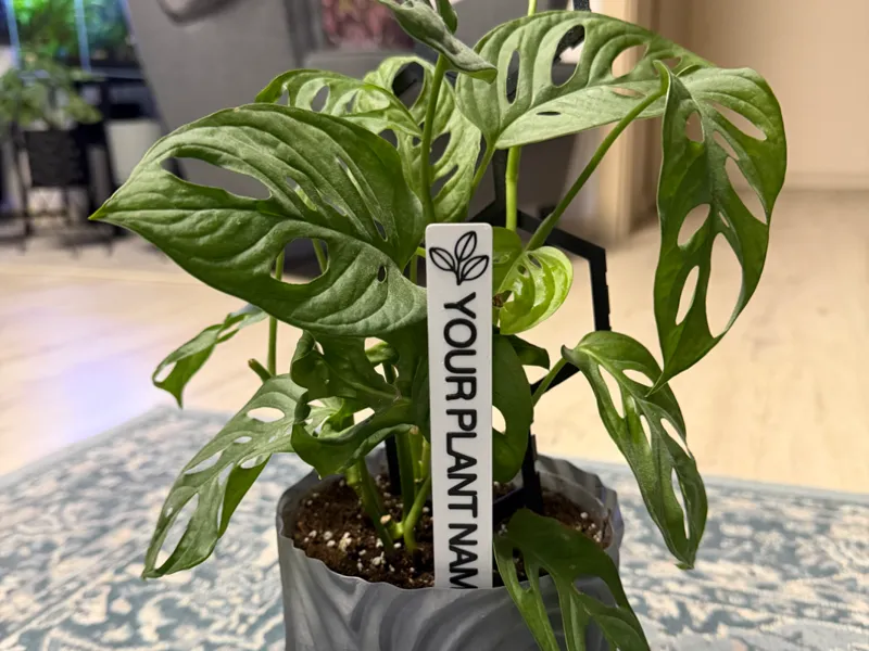 Custom Plant Sign – Editable Text Planter Decor