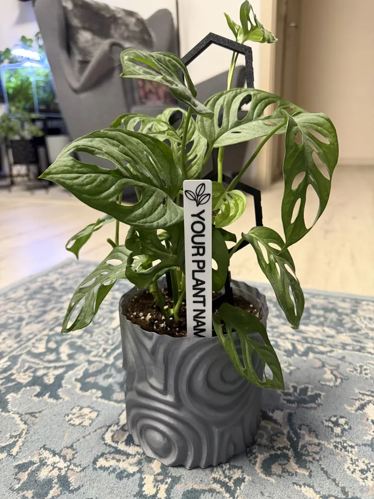 Custom Plant Sign – Editable Text Planter Decor - Free 3D Print Model ...
