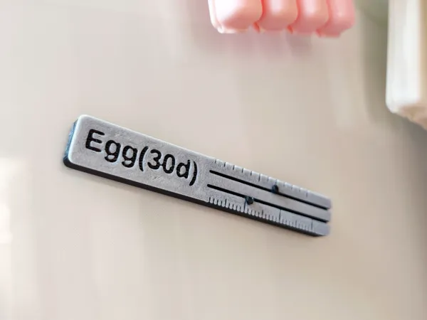 https://makerworld.bblmw.com/makerworld/model/US8334f5e9d750a7/design/2024-08-12_567406a1d4466.jpg