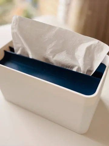 Caja o estuche: Facial Tissue Box – Designed for Kirkland Tissues — vista de referencia 2