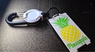 cardholder pinapple slider