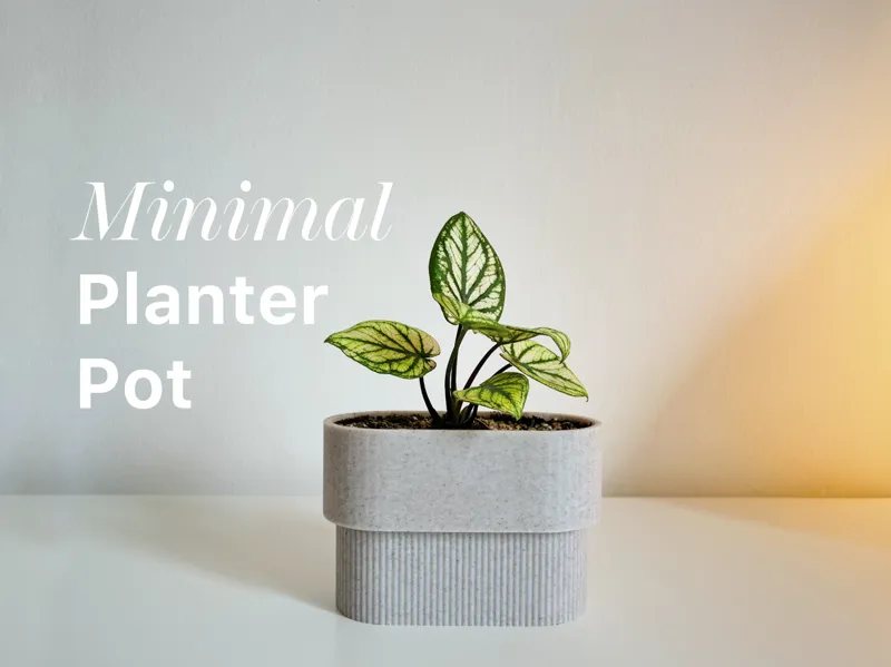 PLANT POT