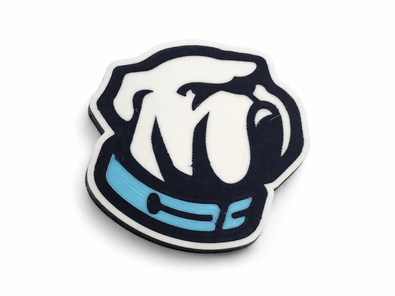 THE CITADEL UNIVERSITY LOGO