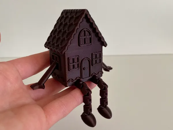 https://makerworld.bblmw.com/makerworld/model/US833f739b851222/design/2025-11-13_b2571d8d080358.jpg