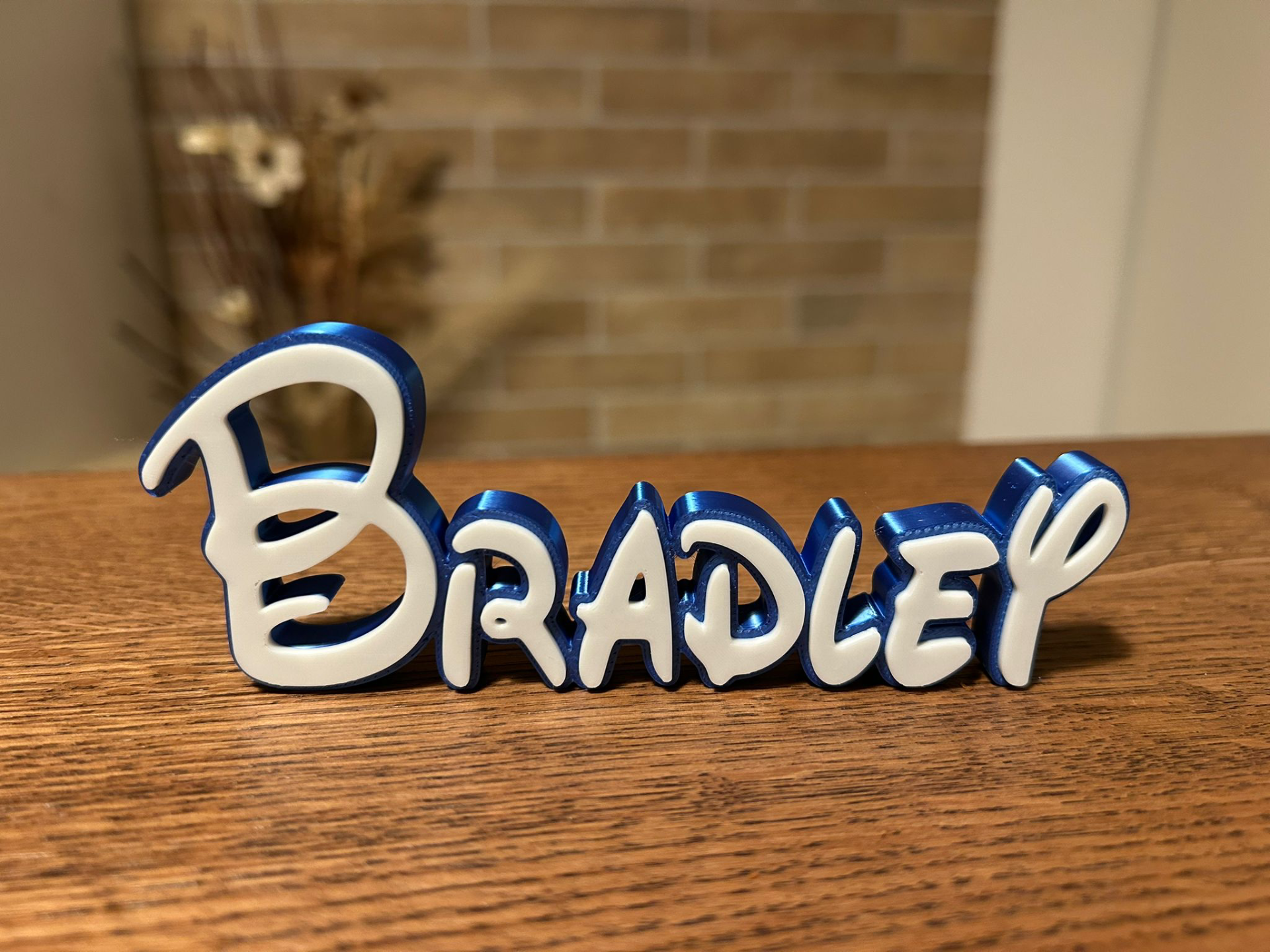 Bradley Name Disney Sign