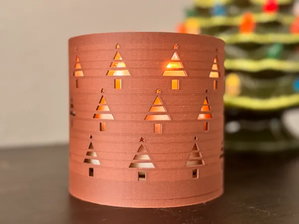https://makerworld.bblmw.com/makerworld/model/US8344d0951e17c6/design/2024-11-09_e78b9366bb4c08.jpeg