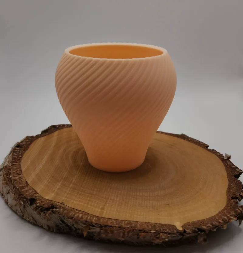 3d Printed Vase for Plants / Elegant/ Minimalistic