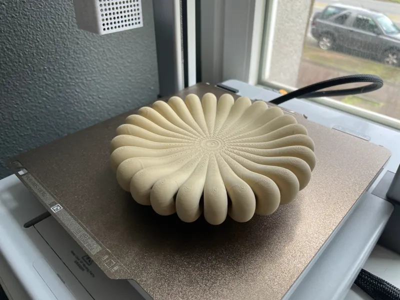 Radial Bloom Cushion