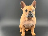 Bouledogue français facile à imprimer — photo 1