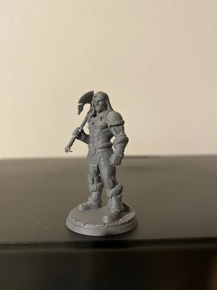 D&D Freya & Hakon Eisensturm - Free 3D Print Model - MakerWorld
