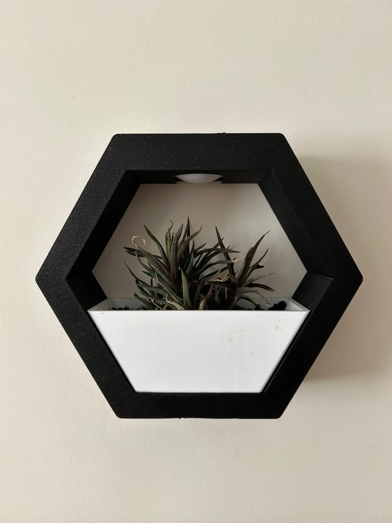 Hexagone Wall Planter view 2