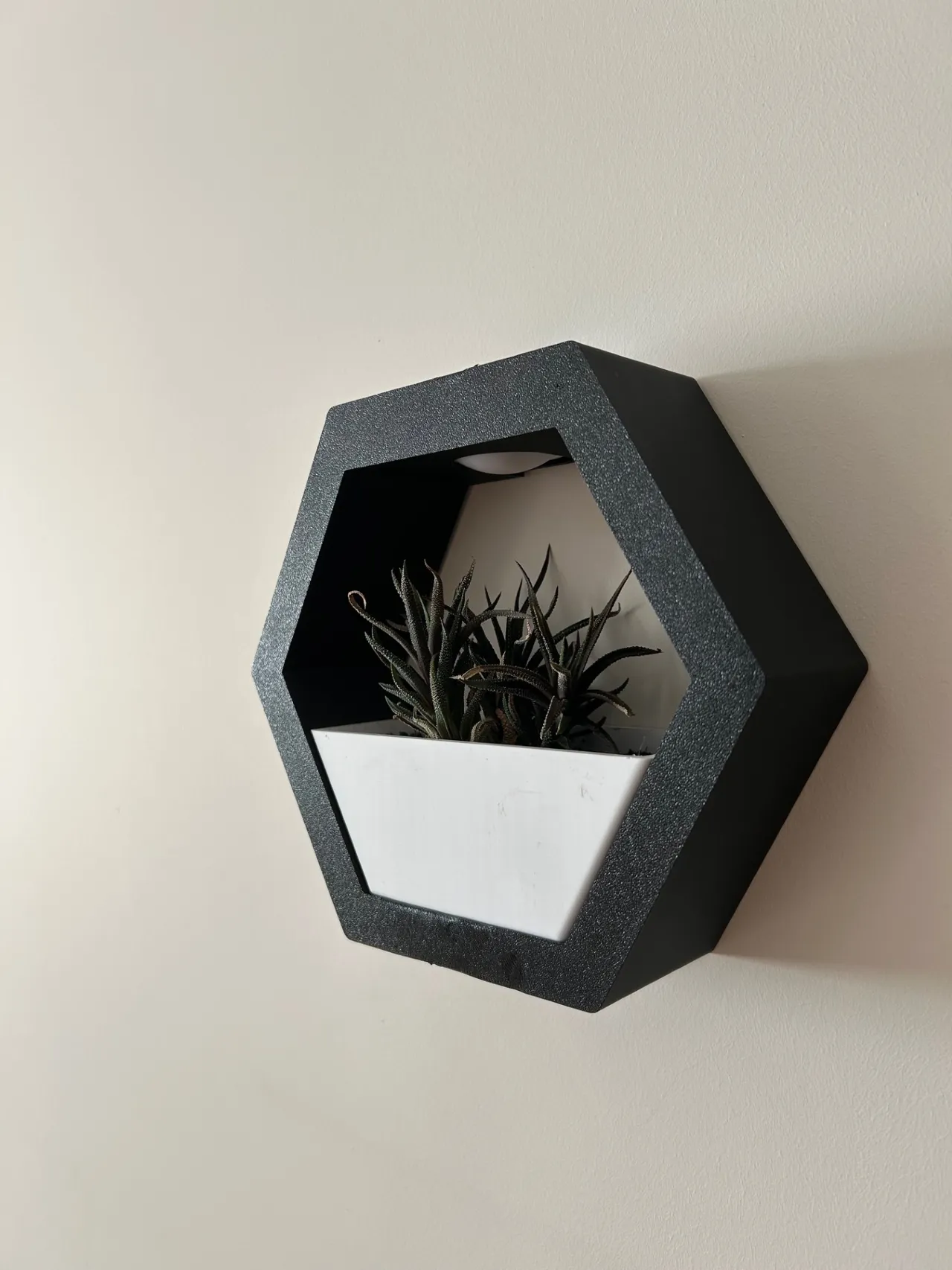 Hexagone Wall Planter view 4
