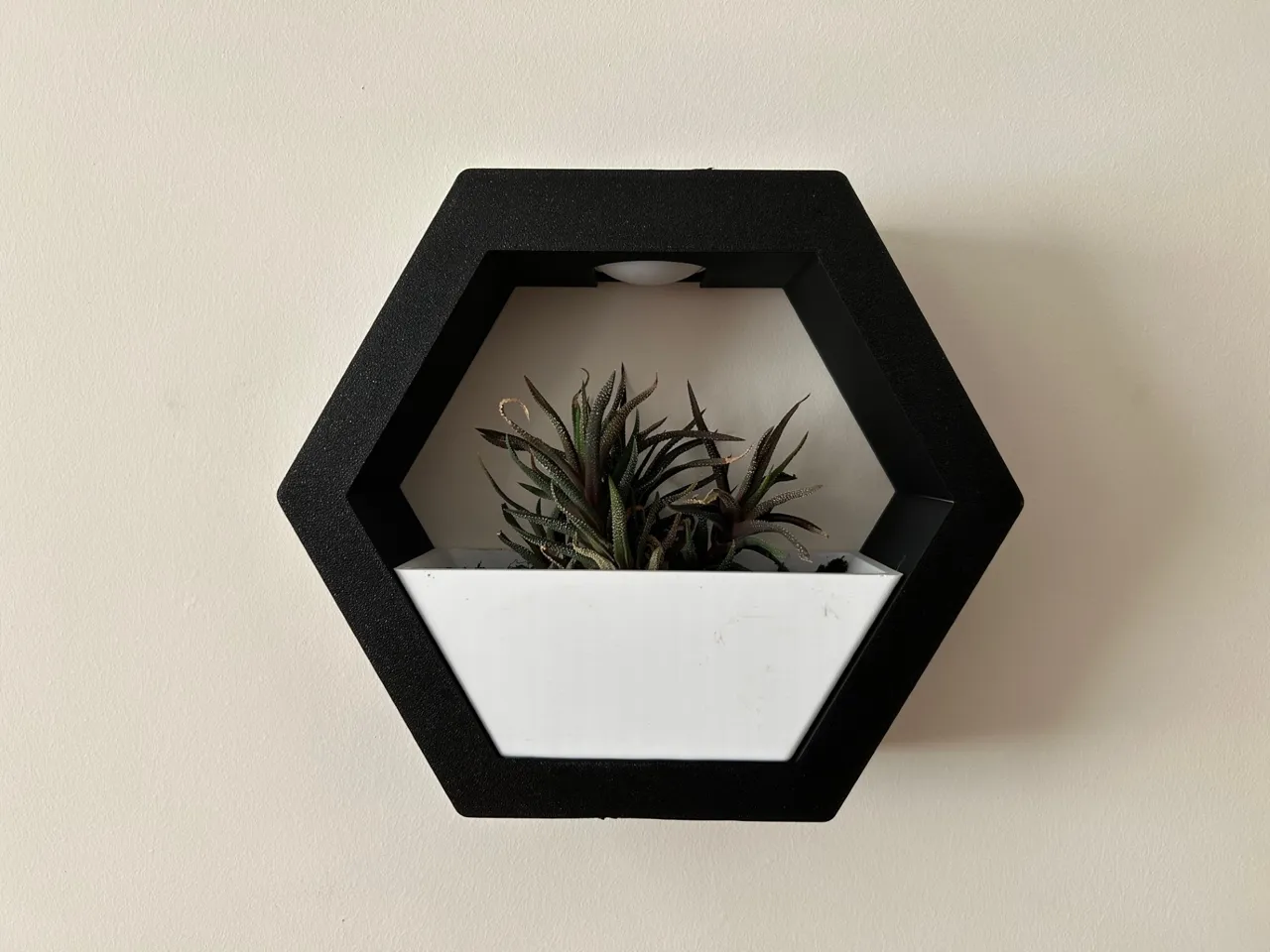 Hexagone Wall Planter view 3
