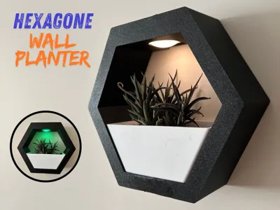 Hexagone Wall Planter