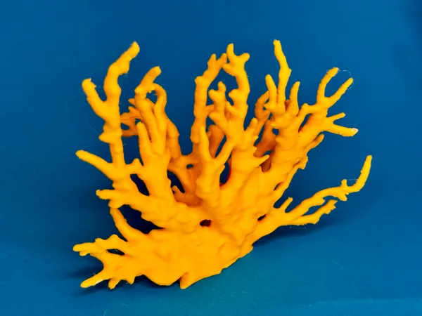 https://makerworld.bblmw.com/makerworld/model/US835d01f5c7fc75/design/2025-09-28_054c317f29ff88.jpg