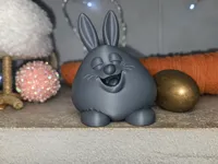 0.16mm layer, 2 walls, 5% infill