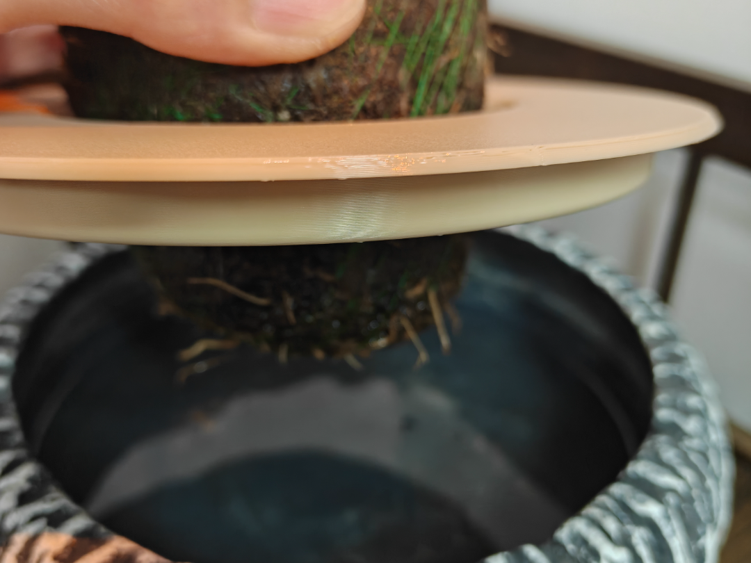 Miniatura 1 do modelo 3D 水培防虫盖