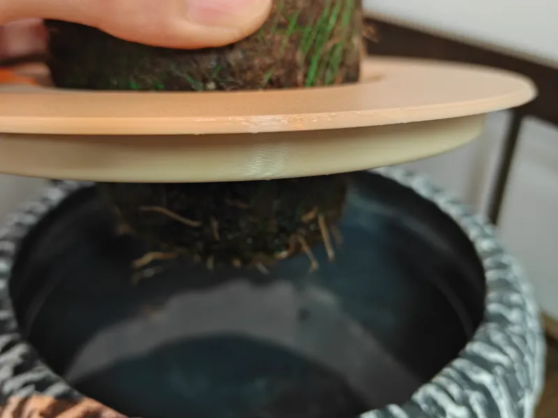 水培防虫盖