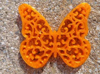 Schmetterling Butterfly