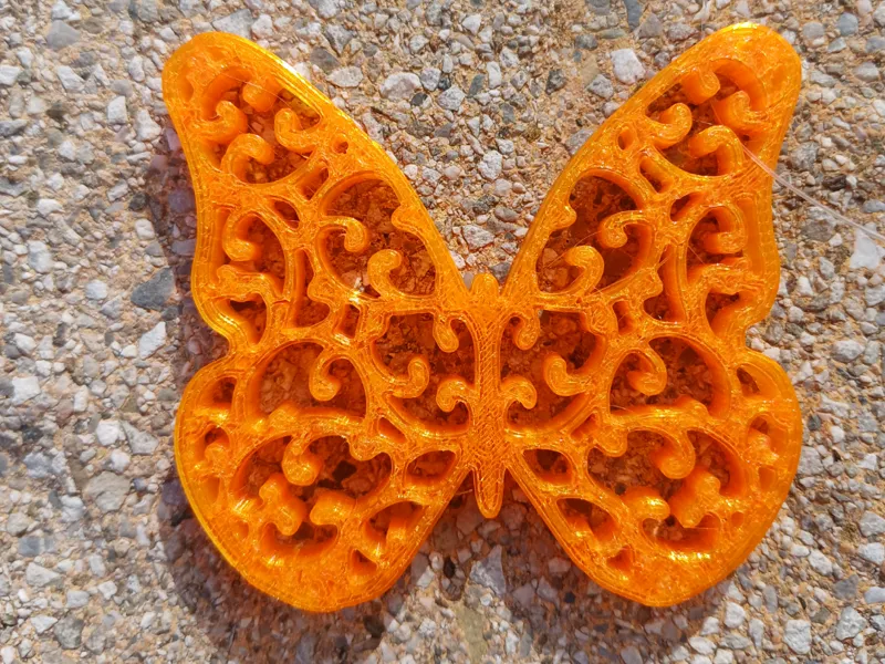 Schmetterling Butterfly