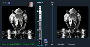Cuadro decorativo en 3D: Hueforge - Rhinocéros solitaire — vista de referencia 4