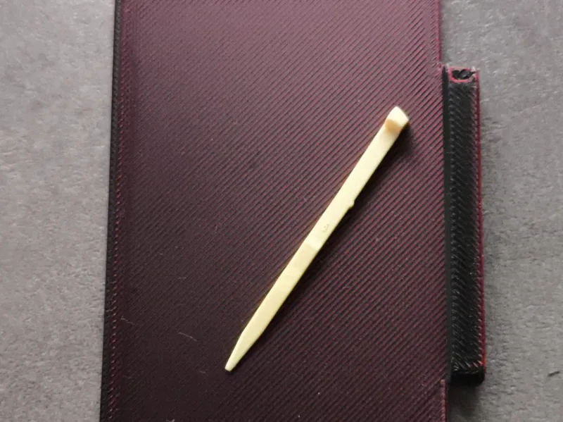 Swiss army knife toothpick container / case wallet