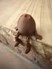 Coconut Flexi Buddy