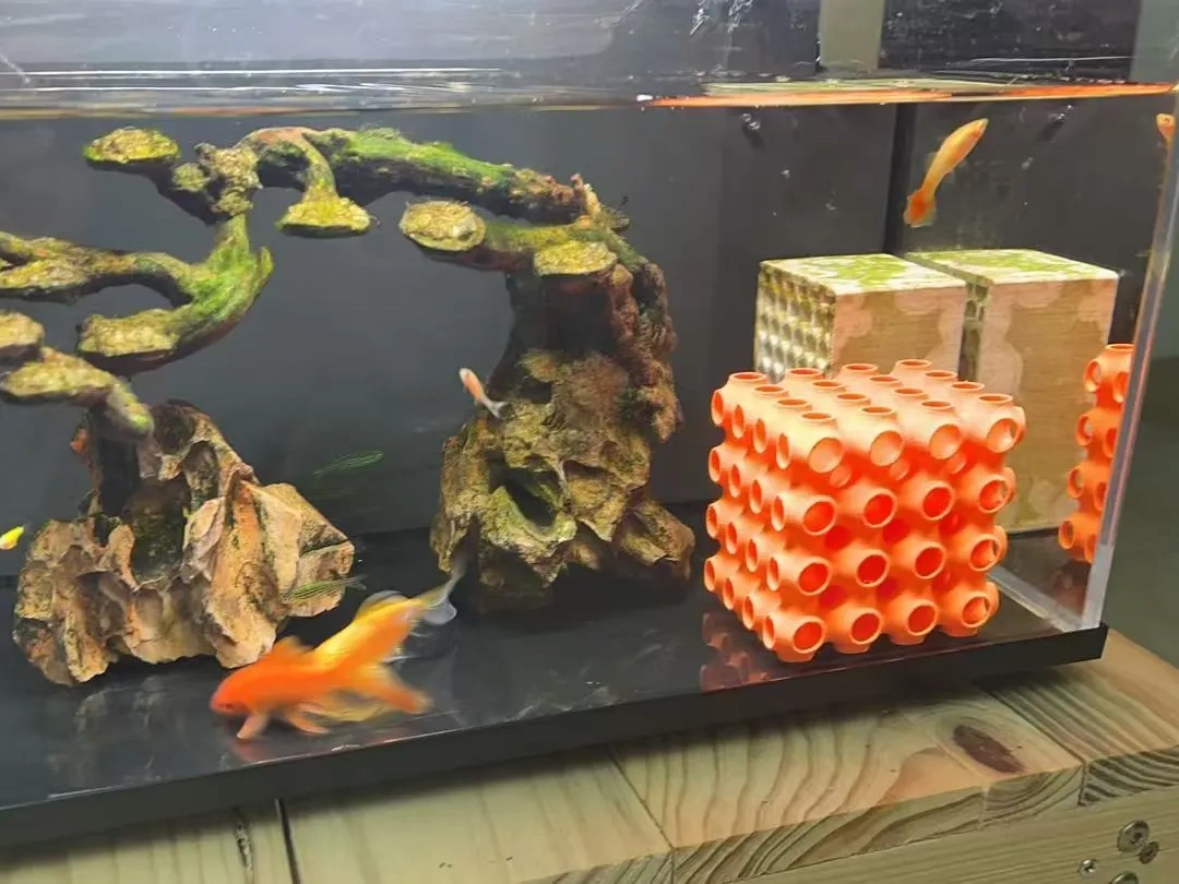 Miniatura 1 do modelo 3D 鱼缸鱼虾躲避屋