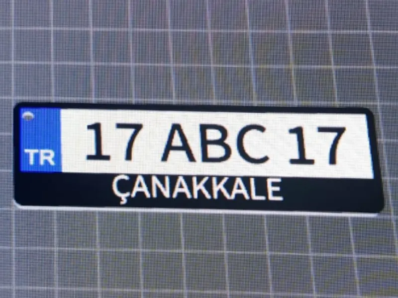 Özelleştirilebilir Telefon Arkası