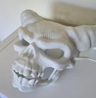 Demon skull mask