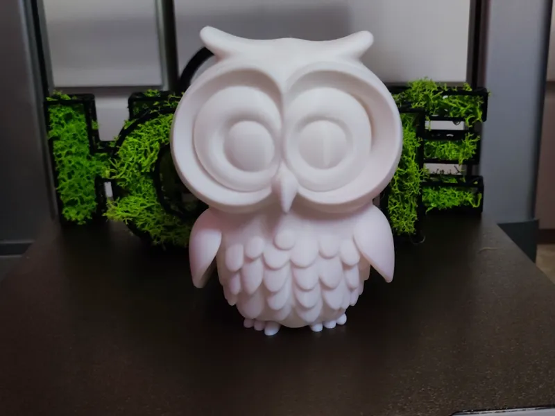 Coruja Mágica Inspirada em Hedwig de Harry Potter
