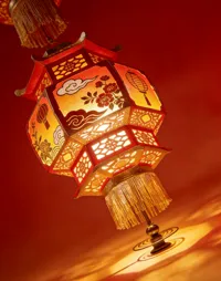 支架+上下封口+环