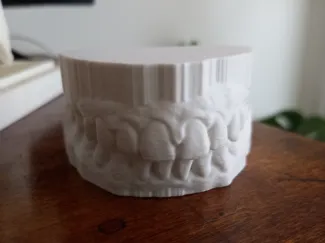 Arco dental real para protesis