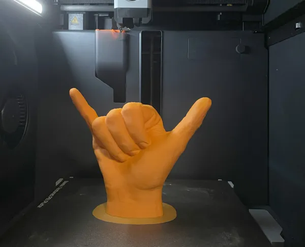 https://makerworld.bblmw.com/makerworld/model/US8393c2941db3ea/design/2024-11-01_336a66c0b1bce8.jpeg