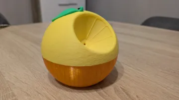 Letrero o emblema decorativo: Orange Fruit Fly Trap — vista de referencia 3