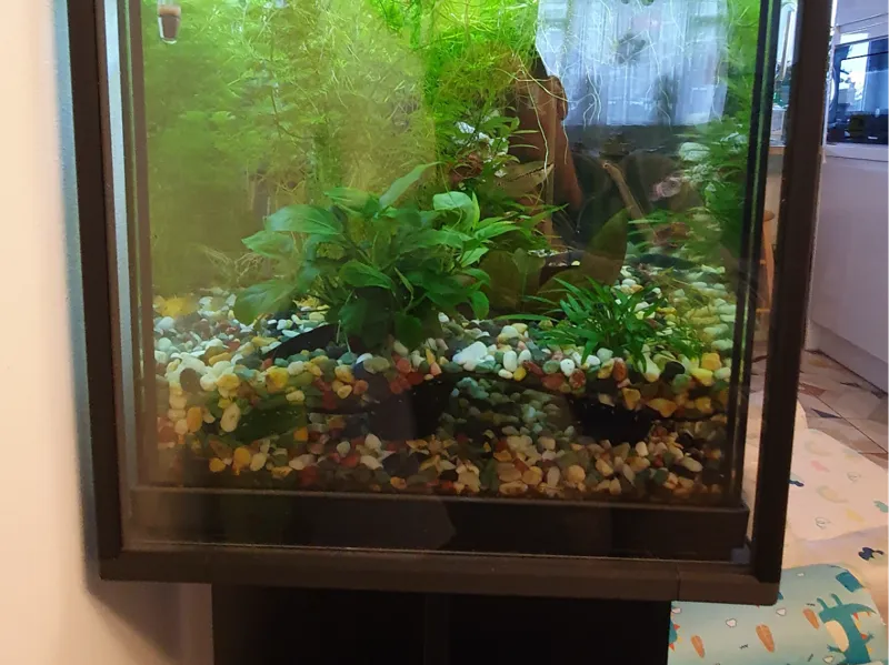 Fish Tank Protector - Superfish Start 100 w/ stand