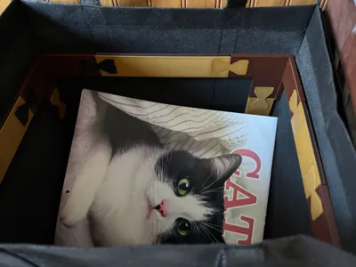 Grocery Tote Support Frame
